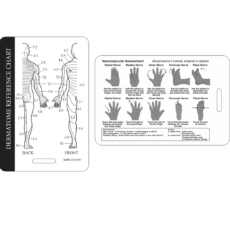 Lanyard card - dermatome/neurovascular assessment